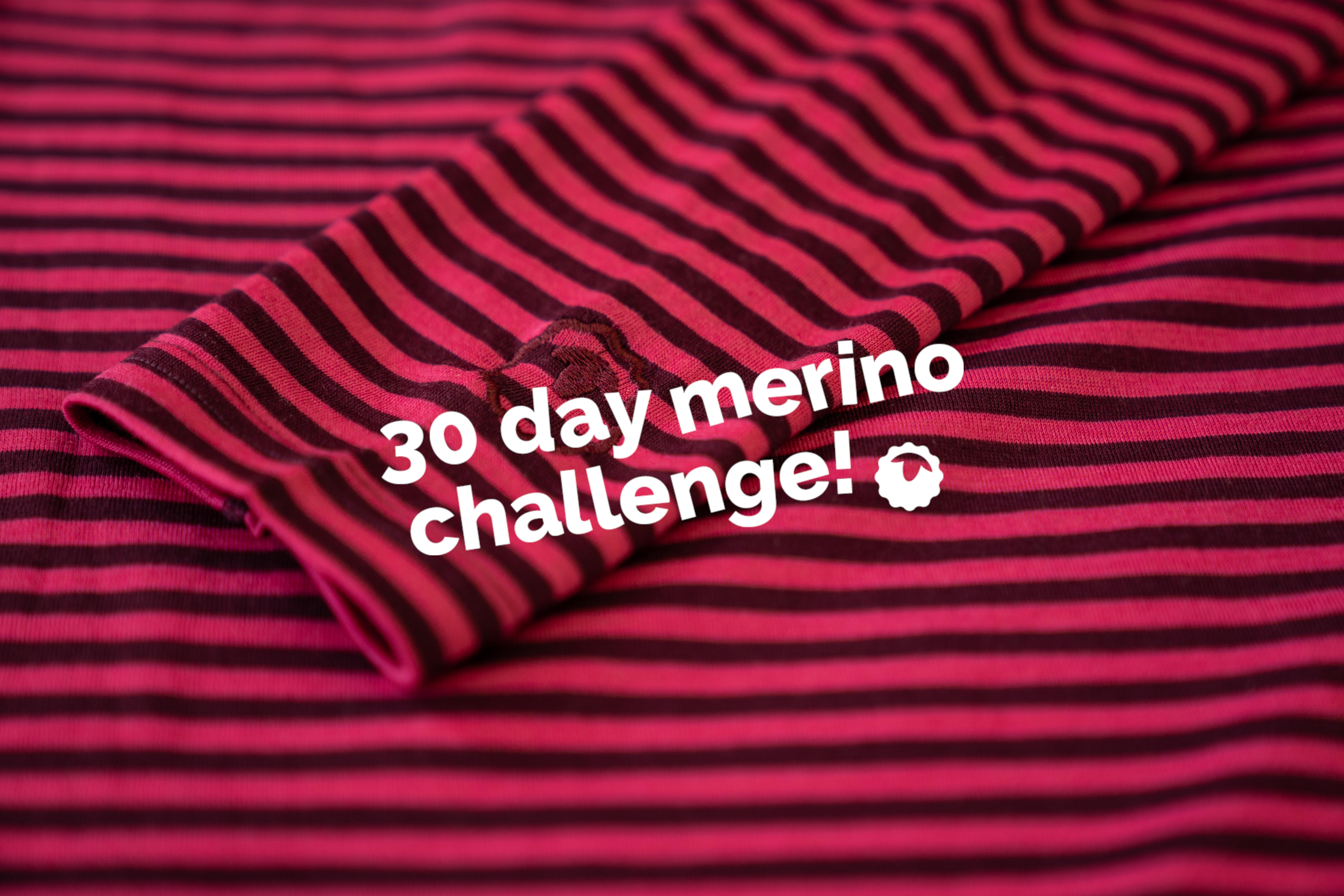 30 Day Merino Challenge: Debbie's Journey
