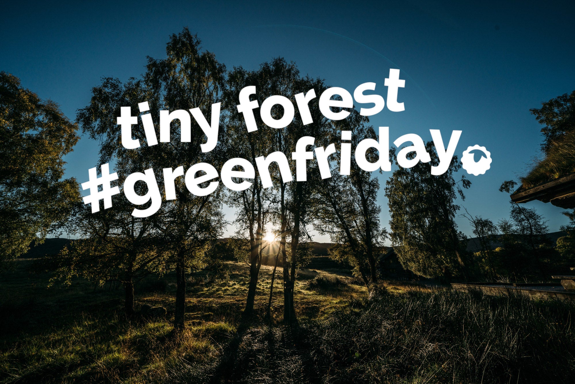 #GreenFriday Tiny Forest, Earthwatch