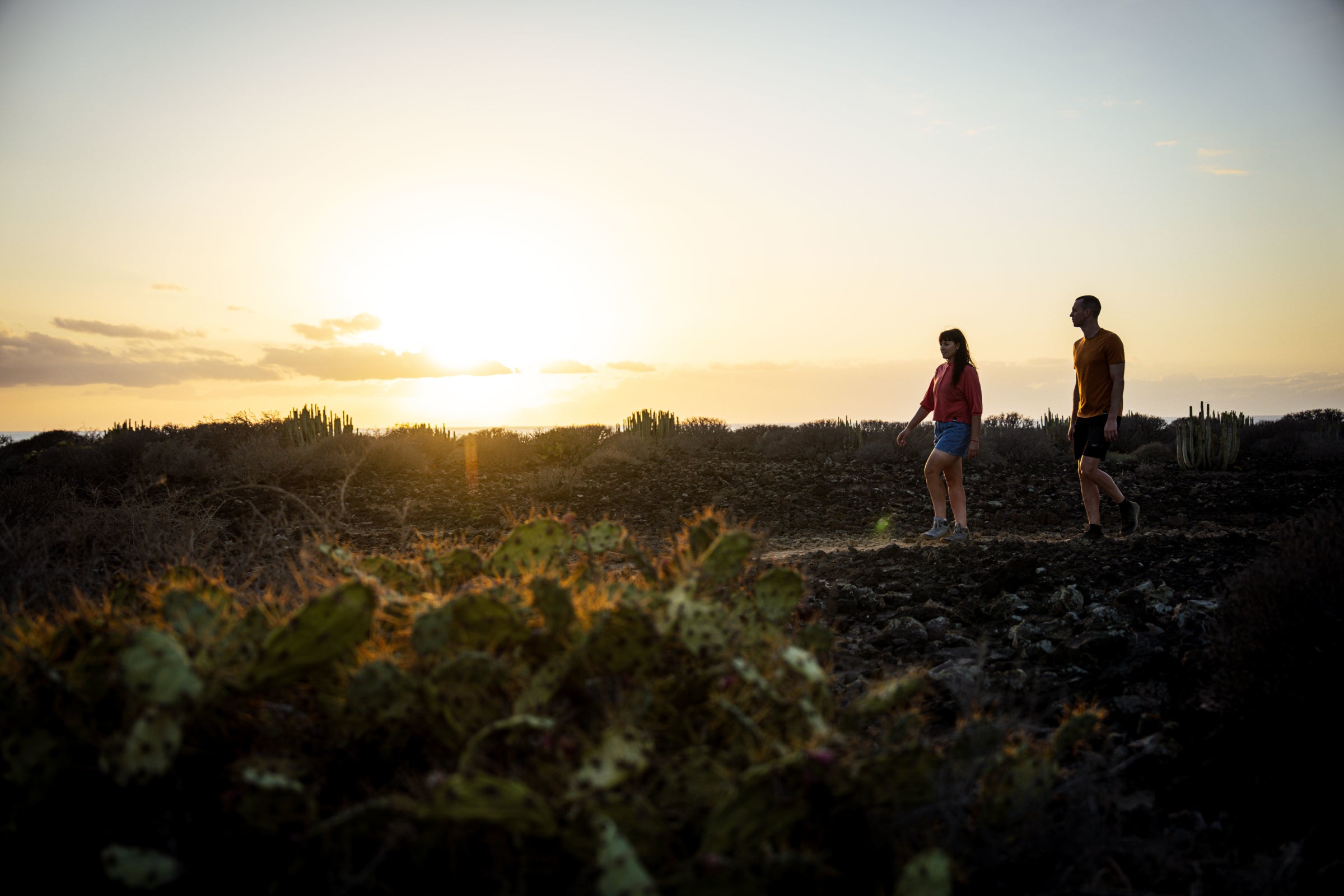Two people hiking at sunset through a desert-like landscape with cacti