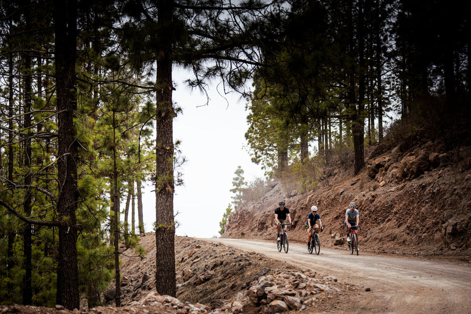 Three cyclists riding on a forest dirt road