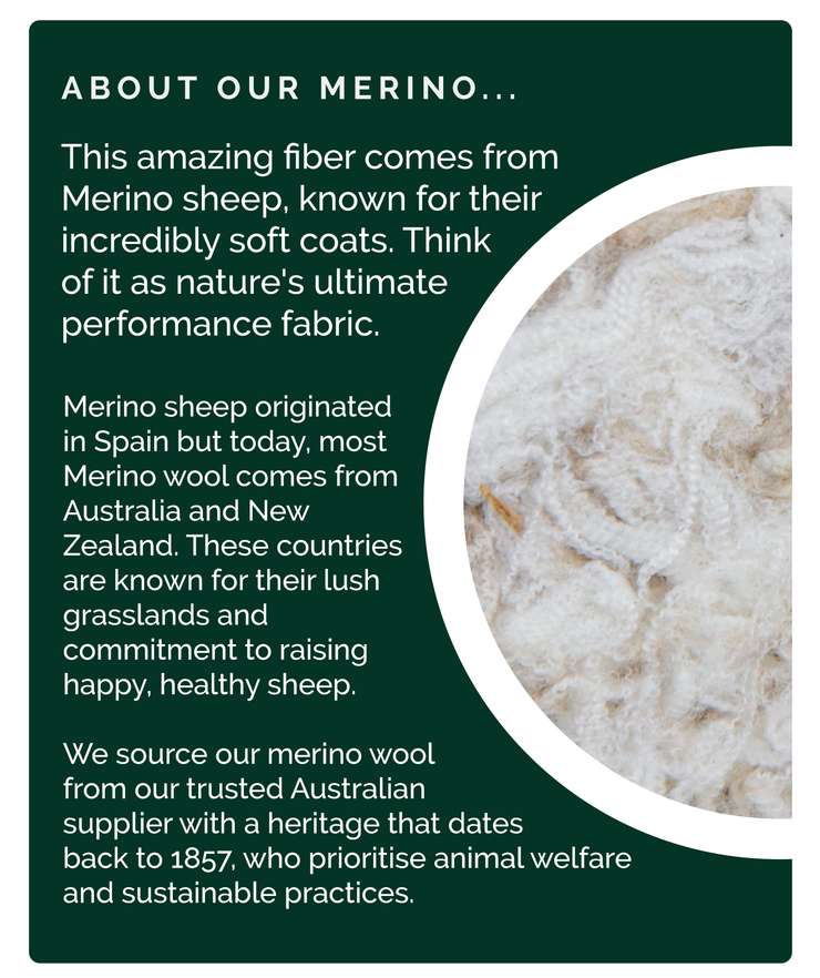 About Our Merino