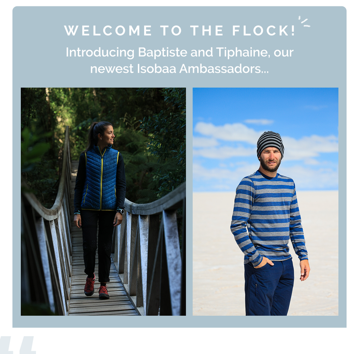 Welcome to the Flock