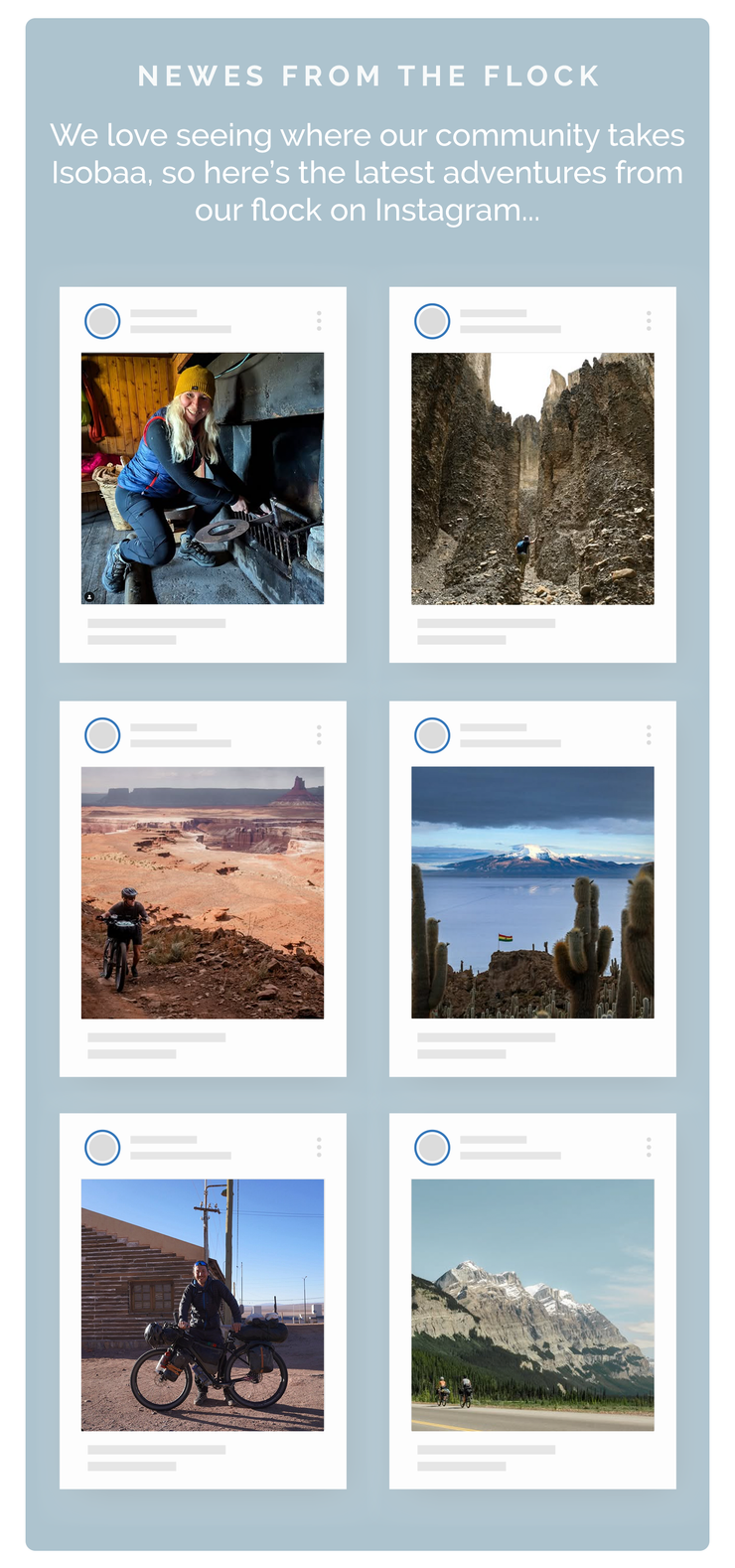 Newes from the Flock