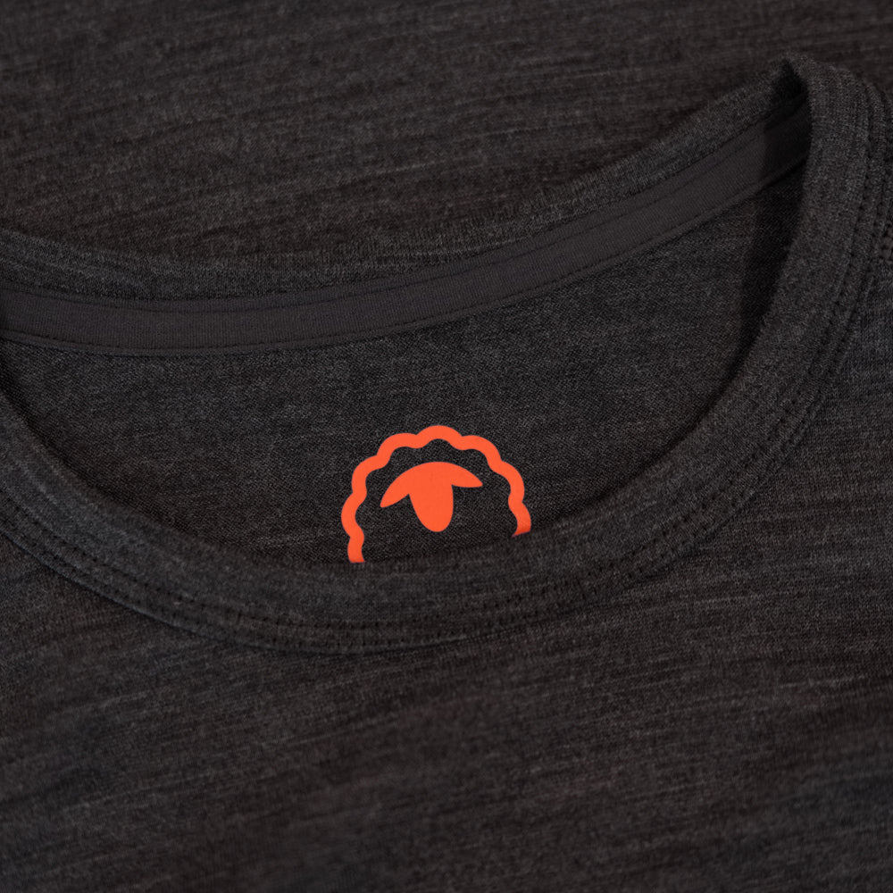 Isobaa Mens Merino 180 Long Sleeve Crew (Chocolate/Melange)