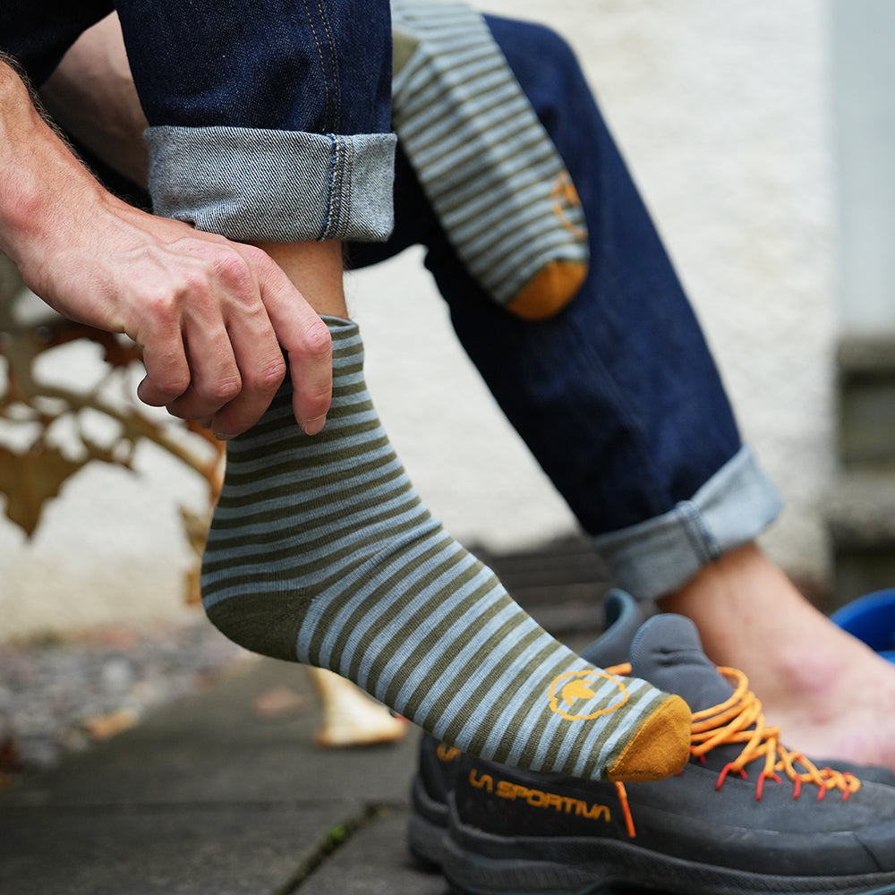 Merino Blend Everyday Socks (3 Pack - Olive/Forest/Agave/Spice)