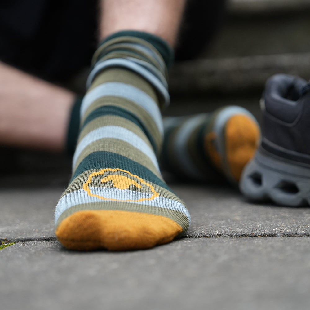 Merino Blend Everyday Socks (3 Pack - Olive/Forest/Agave/Spice)