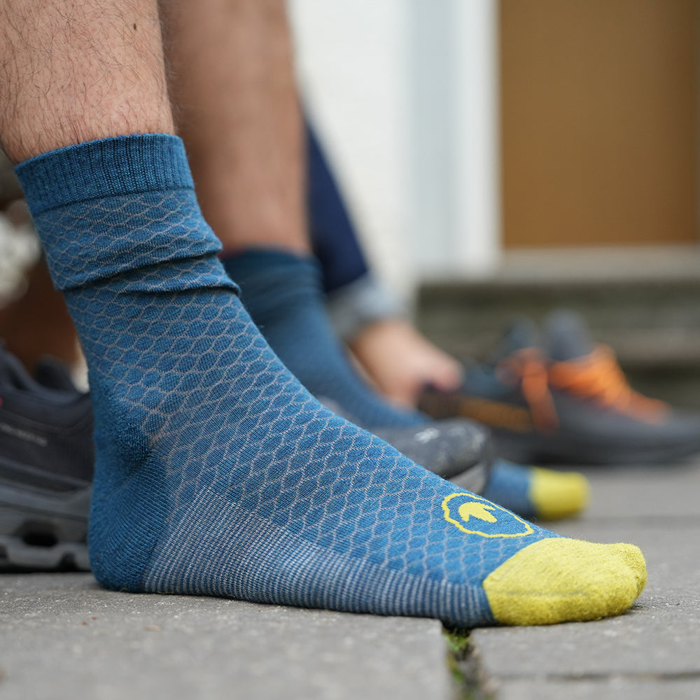 Merino Blend Everyday Socks (3 Pack - Petrol/Smoke Melange/Lime Cloud)