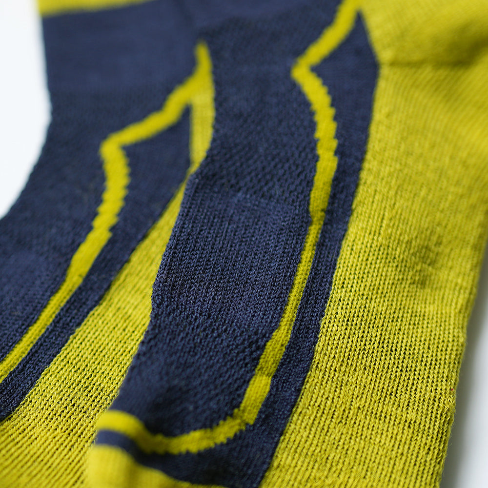 Merino Blend Ski Socks (Navy/Lime)