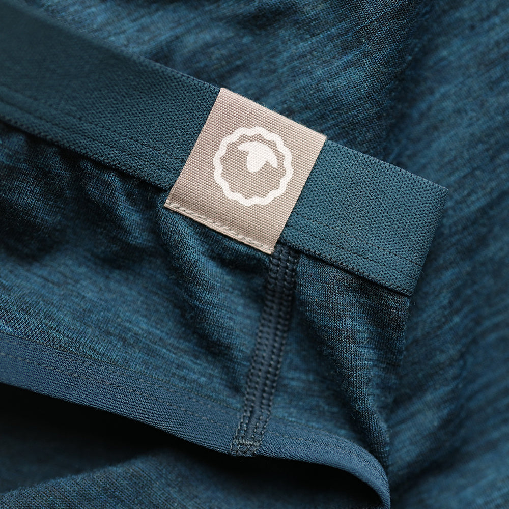 Womens 160 Bikini Knickers (Petrol)