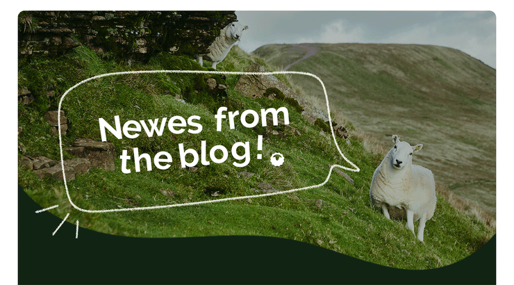 Newes from the blog!
