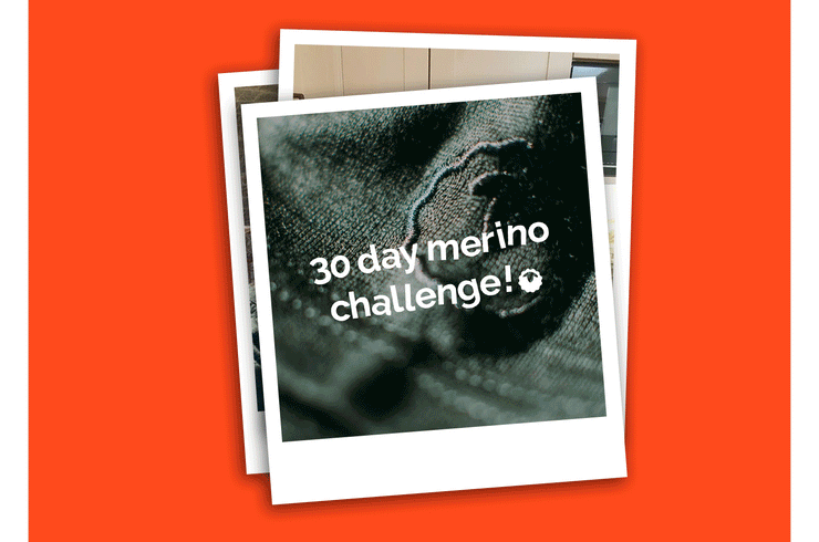 The 30 Day Merino Challenge