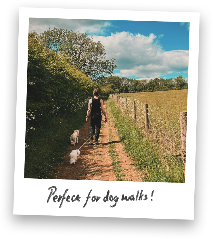 PERFECT FOR DOG WALKS