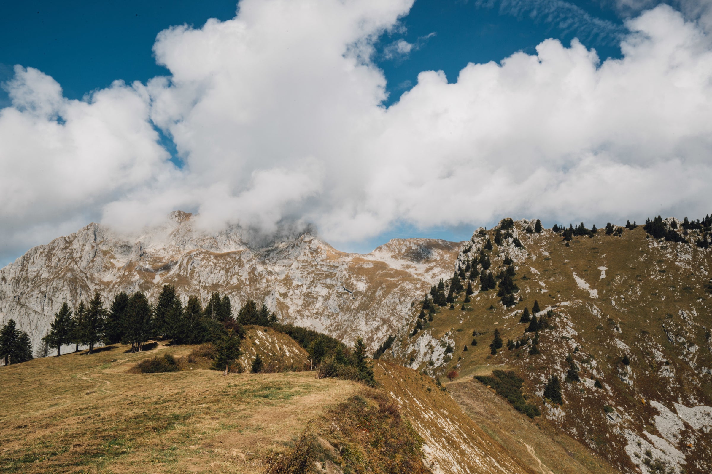 A mountainous landscape with a rocky foreground and a cloud-covered peak, accompanied by pine trees on a sunny day.