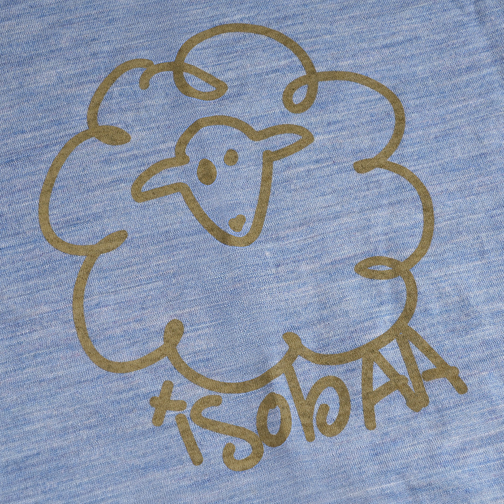 Kids Merino 150 Wool Explorer LS Tee (Sky)