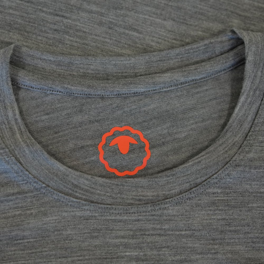 Isobaa Mens Merino 150 Peaks T-Shirt (Charcoal Melange/Black)