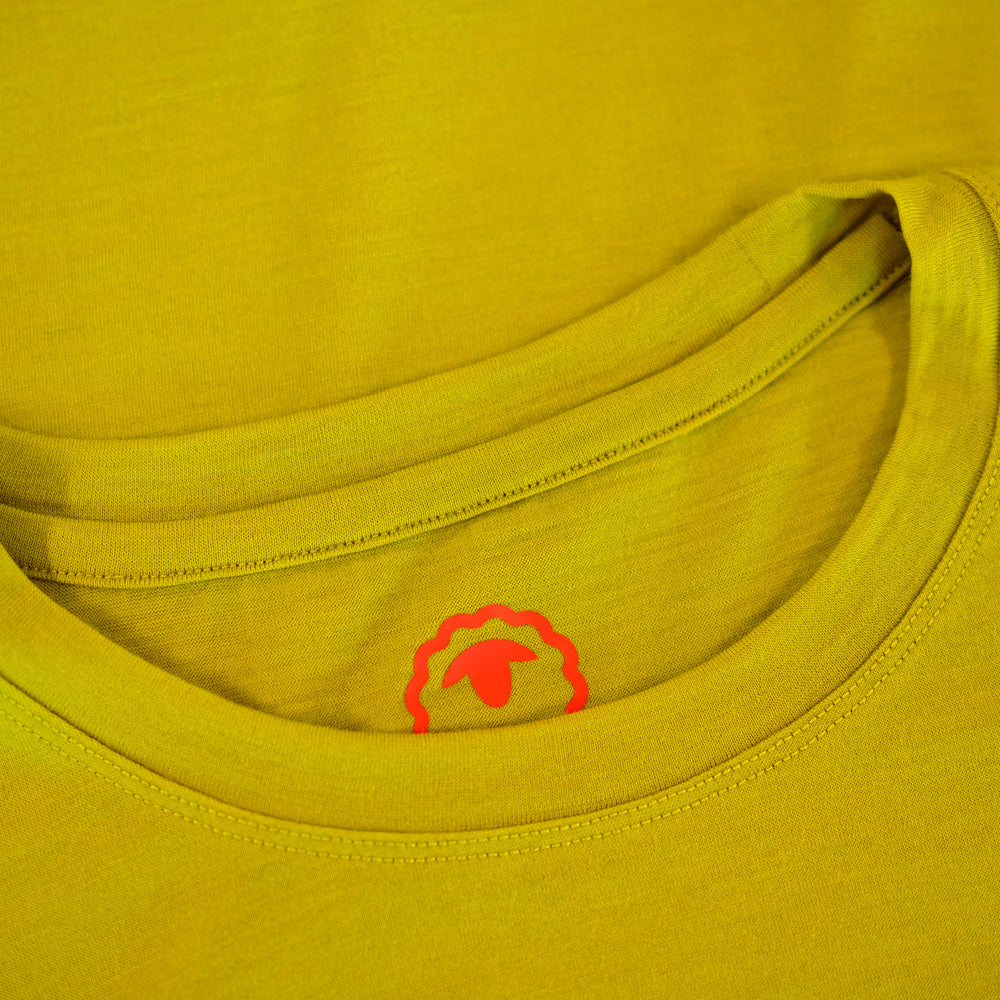 Isobaa Mens Merino 150 Peaks T-Shirt (Lime/Petrol)