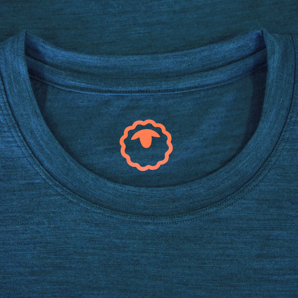 Isobaa Mens Merino 150 Peaks T-Shirt (Petrol/White)