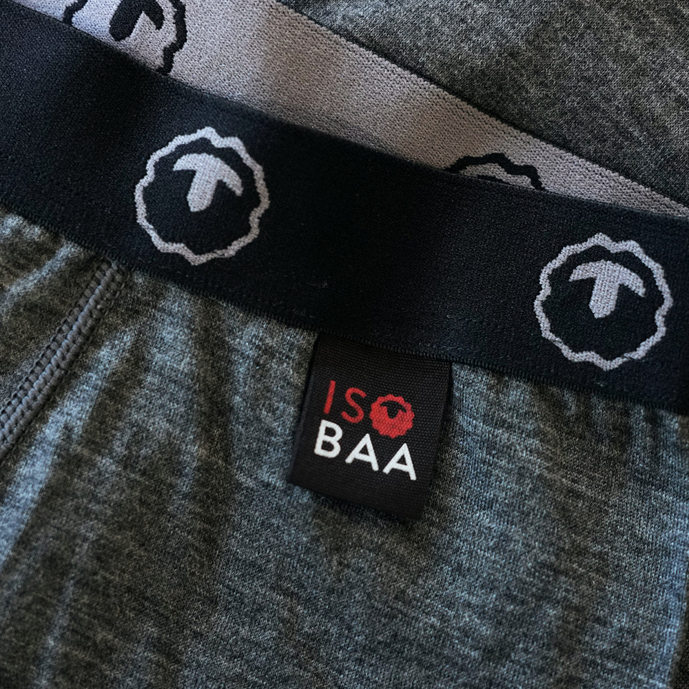 Isobaa Mens Merino 200 Tights (Smoke)