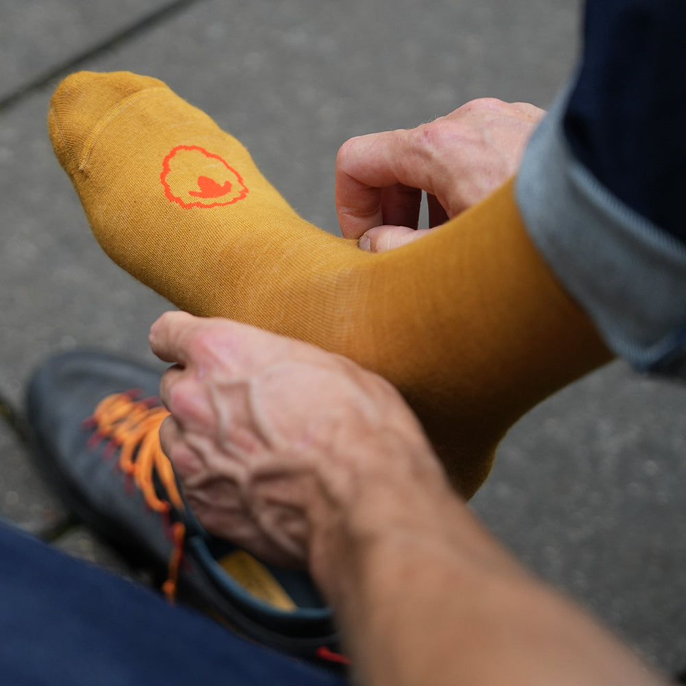 Merino Blend Everyday Socks (3 Pack - Mustard)