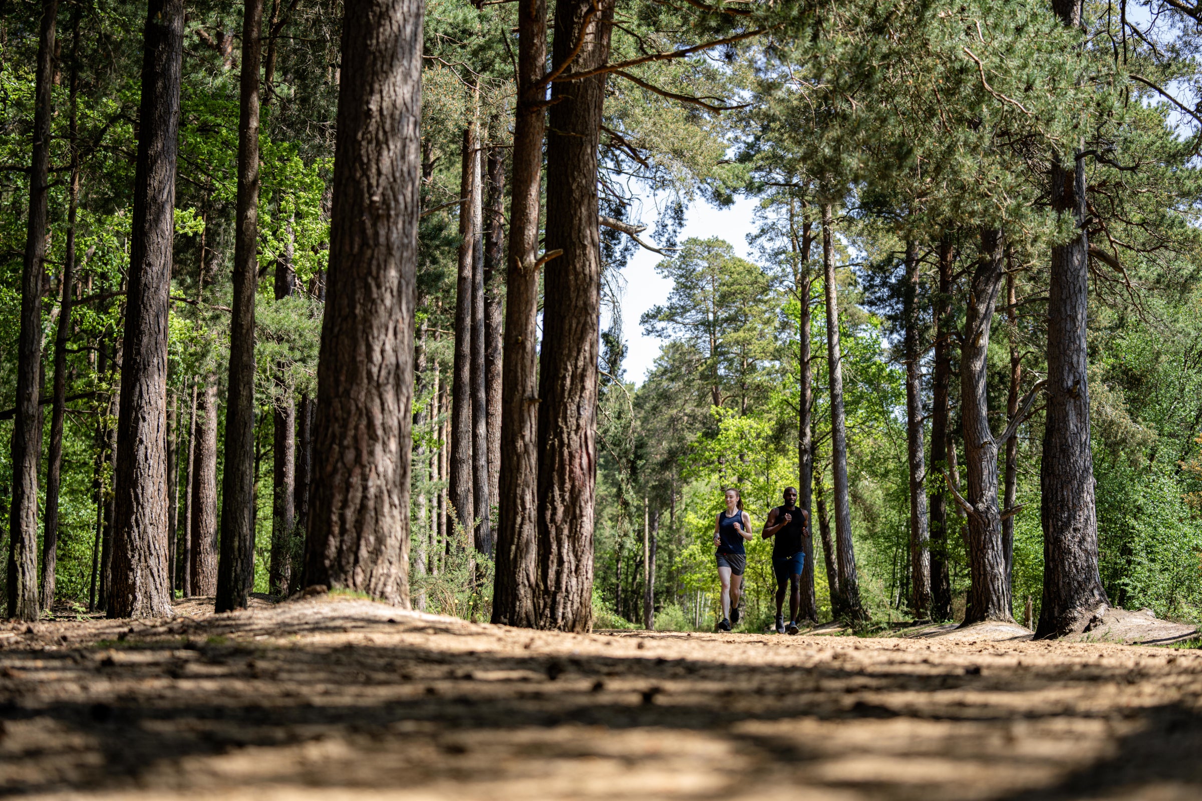 A low angle view of a man and a woman running through a pine forest, clad in Isobaa merino activewear