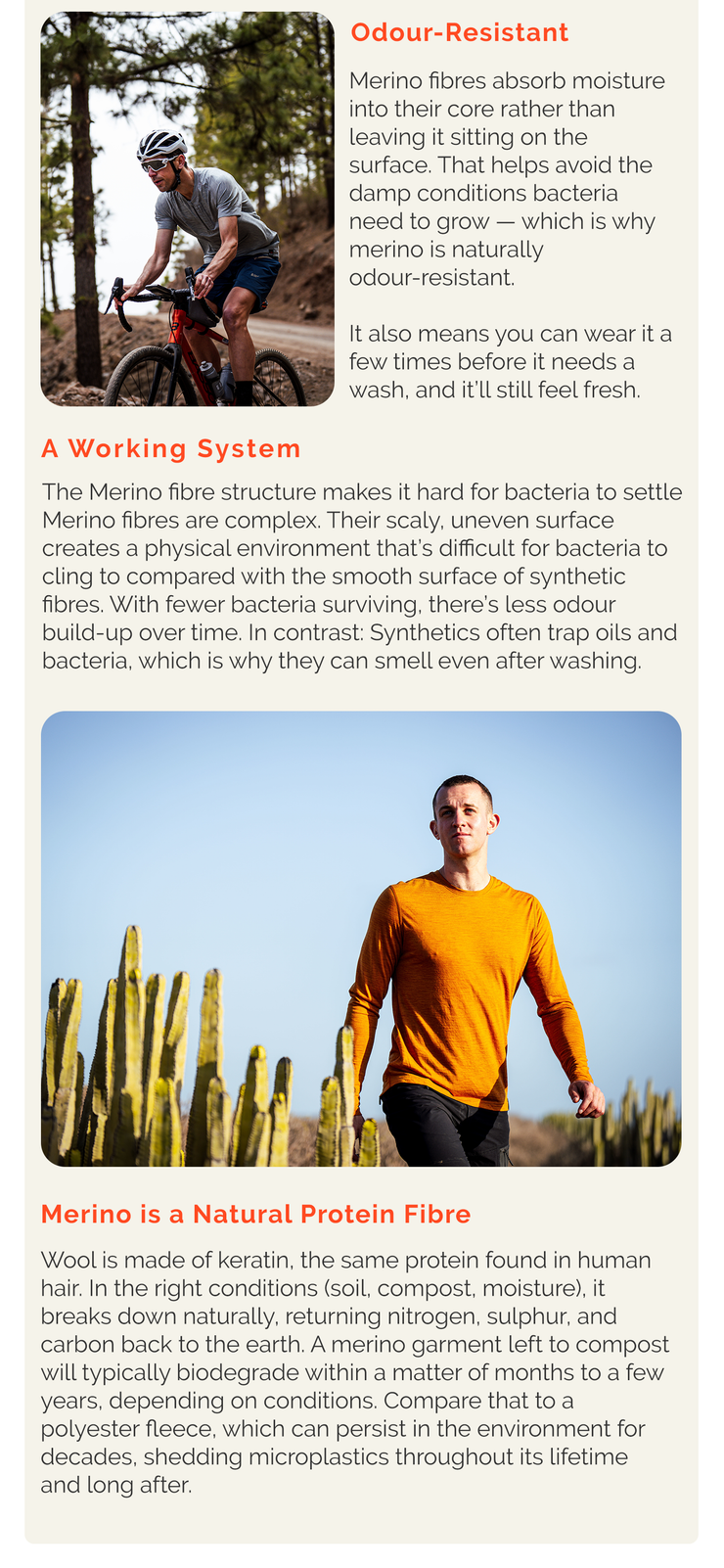 Article section on why merino is odour-resistant and biodegradable, featuring a cyclist on a gravel road and a man in an orange long sleeve top walking among cacti.