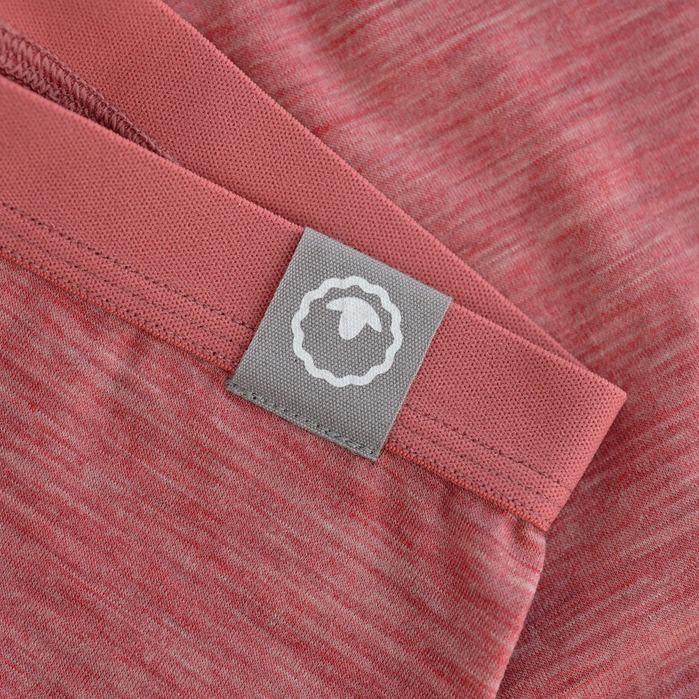 Womens Merino Blend 160 Hipster Knickers (Blush Melange)