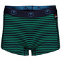 Womens Merino 180 Hipster Shorts (Mini Stripe Navy/Green)