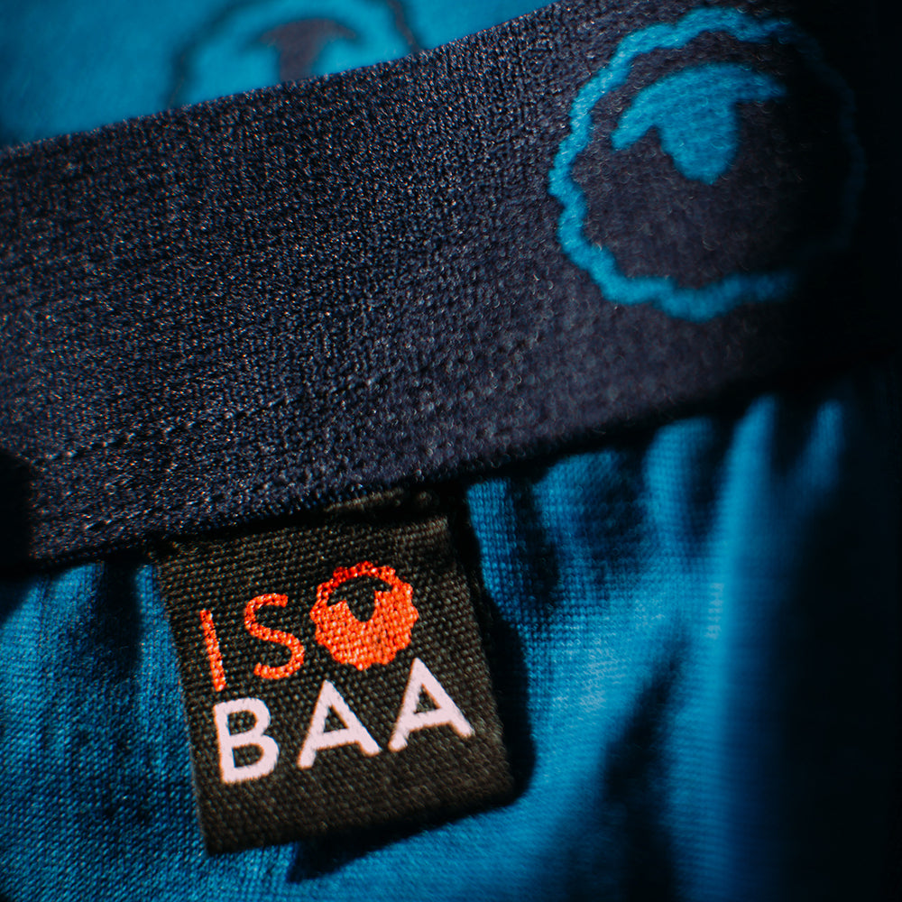 Isobaa | Womens Merino 180 Hipster Shorts (Blue) | Conquer any activity in comfort with Isobaa's superfine Merino hipster shorts.